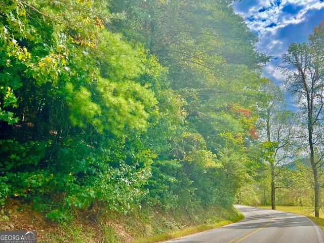 12 Cherokee Dr, Ellijay, GA 30540