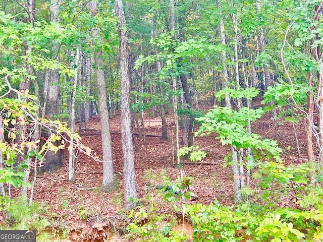 12 Cherokee Dr, Ellijay, GA 30540