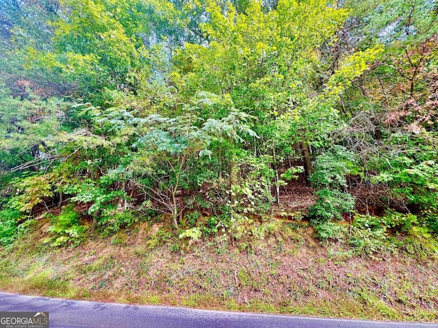 12 Cherokee Dr, Ellijay, GA 30540