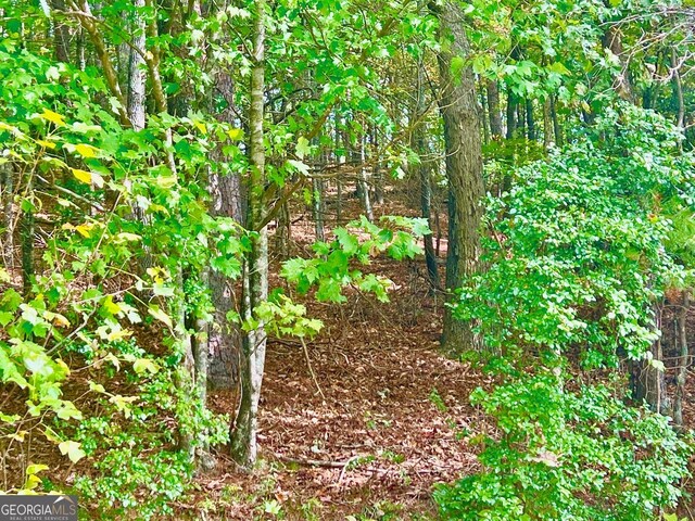 12 Cherokee Dr, Ellijay, GA 30540