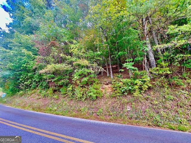 12 Cherokee Dr, Ellijay, GA 30540