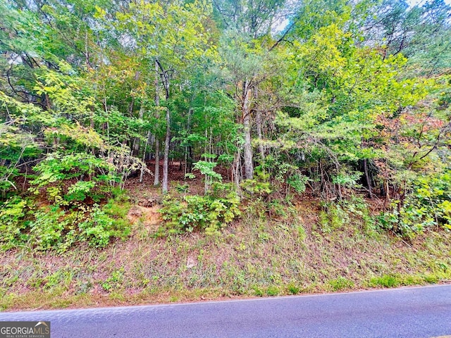 12 Cherokee Dr, Ellijay, GA 30540