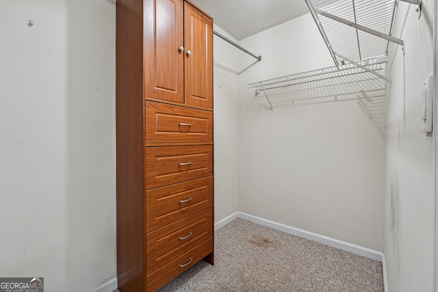 walk in closet with light carpet