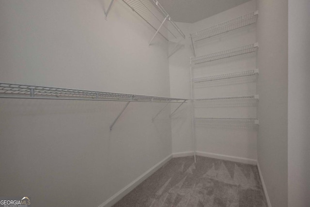 spacious closet with carpet flooring