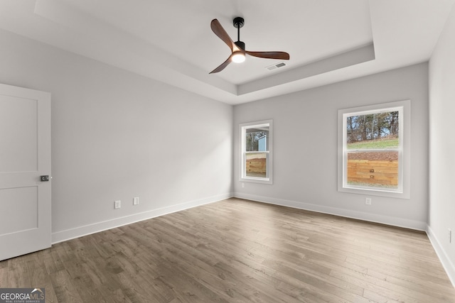 empty room featuring a raised ceiling, plenty of natural light, and light hardwood / wood-style flooring