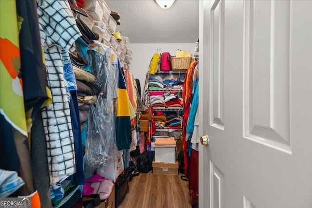 walk in closet featuring wood-type flooring