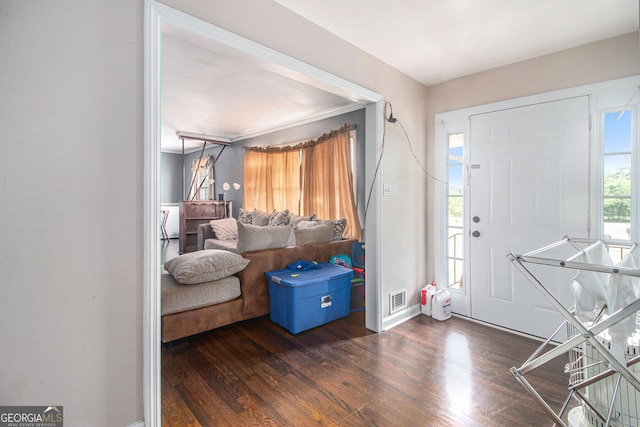 foyer with dark hardwood / wood-style flooring and plenty of natural light