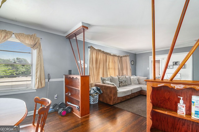 interior space with ornamental molding and dark hardwood / wood-style flooring