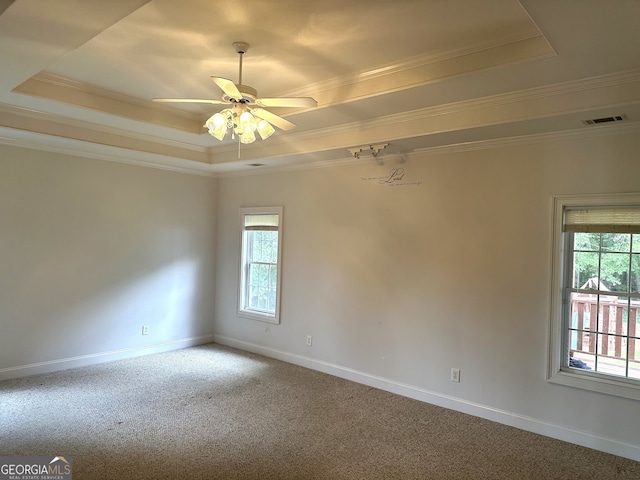 unfurnished room featuring carpet, a tray ceiling, and a healthy amount of sunlight