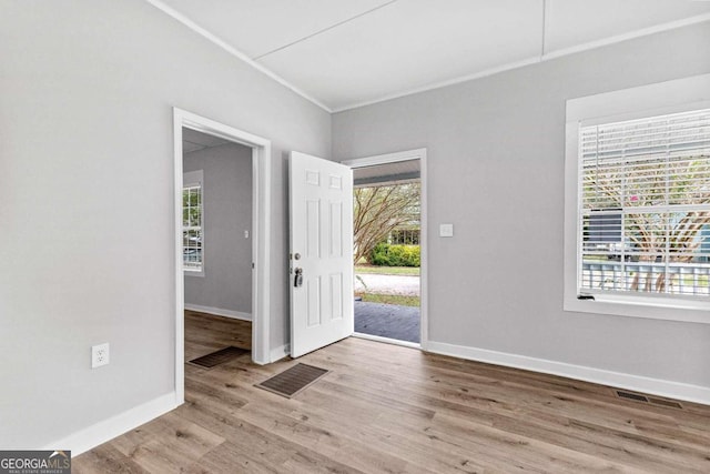 foyer entrance featuring a wealth of natural light and hardwood / wood-style flooring