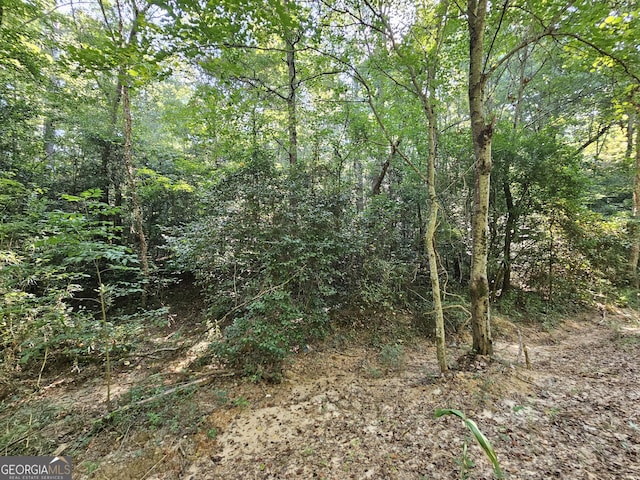 LOT2 Jack Pittman Rd, Dacula, GA 30019