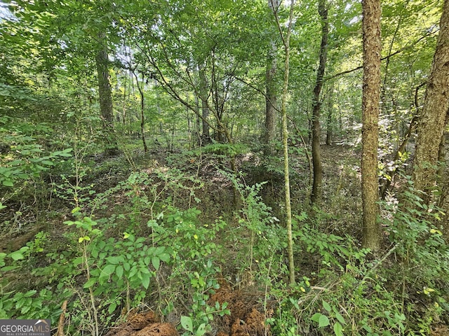 LOT2 Jack Pittman Rd, Dacula, GA 30019