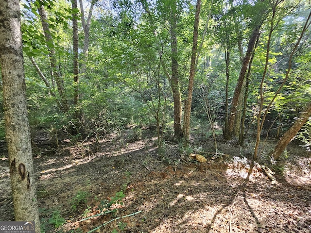 LOT2 Jack Pittman Rd, Dacula, GA 30019