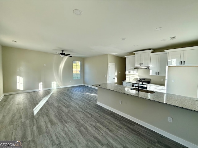 kitchen with light stone countertops, sink, white cabinetry, and dark hardwood / wood-style floors