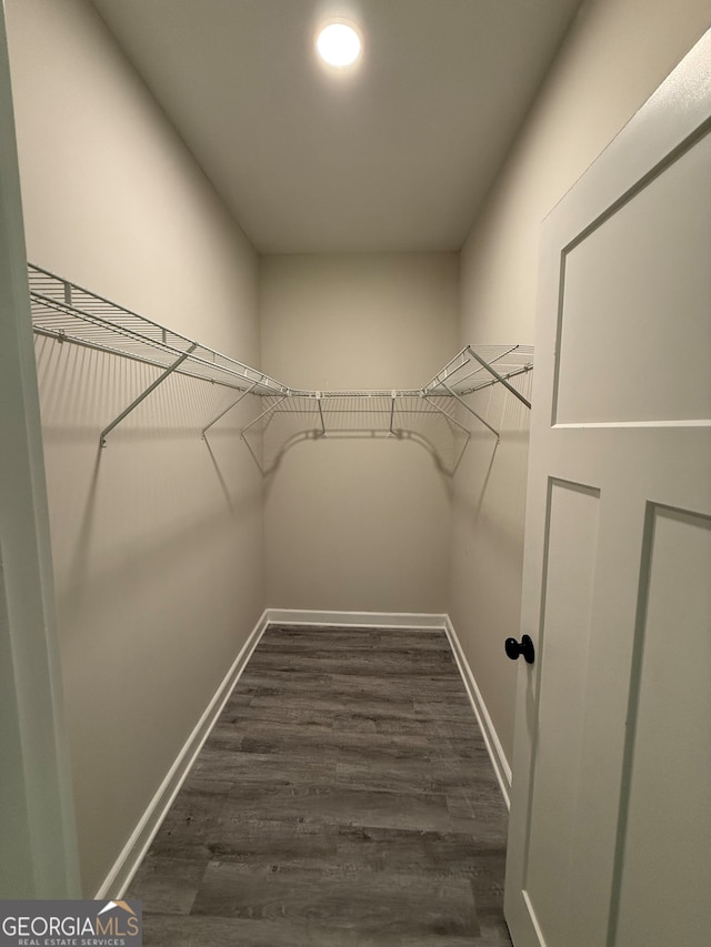 spacious closet with dark hardwood / wood-style flooring