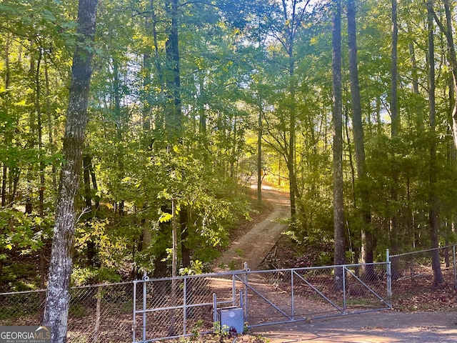 view of local wilderness