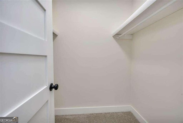 spacious closet featuring carpet