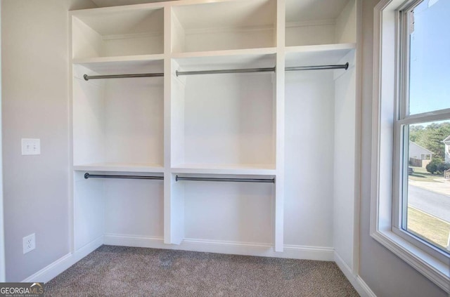 view of closet