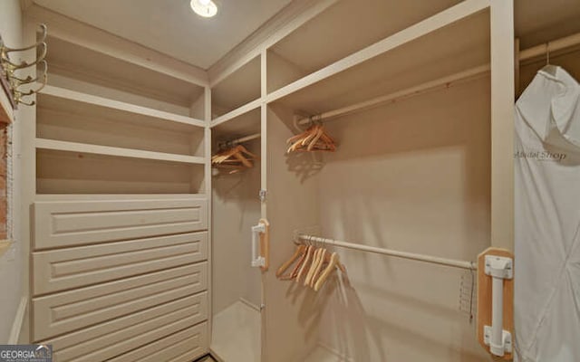 view of spacious closet