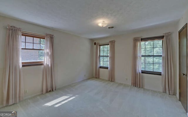 empty room featuring light carpet, a textured ceiling, and a wealth of natural light