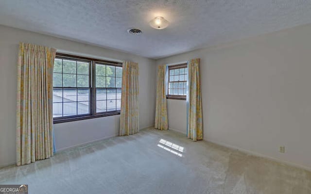 empty room featuring a textured ceiling, light colored carpet, and plenty of natural light