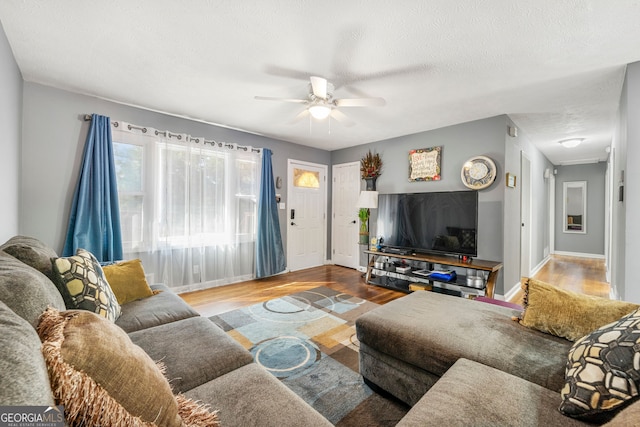 living room with a textured ceiling, wood-type flooring, and ceiling fan