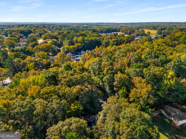 bird's eye view