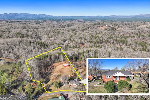 birds eye view of property featuring a mountain view