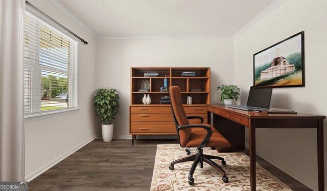 office space featuring dark hardwood / wood-style floors and crown molding