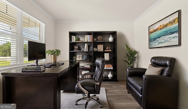 office featuring wood-type flooring and crown molding