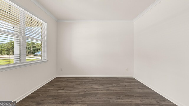 spare room with crown molding and dark wood-type flooring