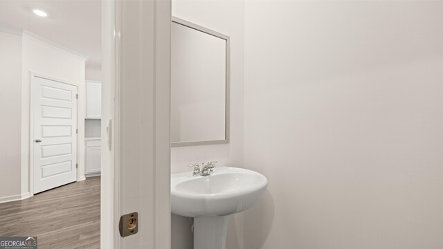 bathroom featuring wood-type flooring