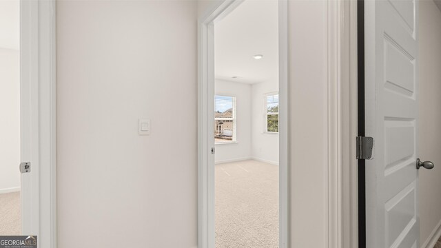 hallway with carpet flooring