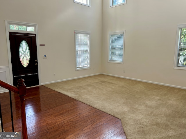 carpeted foyer featuring plenty of natural light