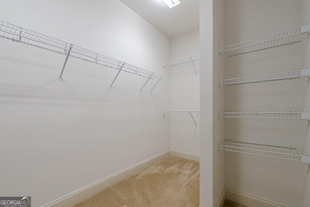 spacious closet with light carpet