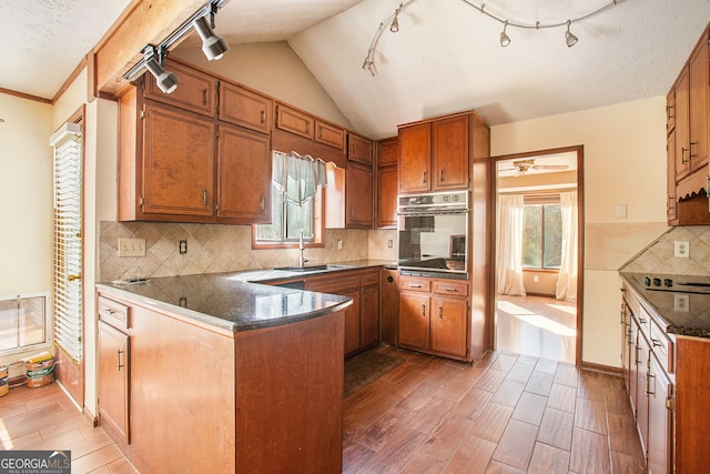 kitchen with dark hardwood / wood-style flooring, tasteful backsplash, plenty of natural light, and stainless steel oven