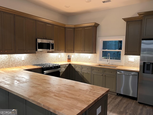 kitchen featuring a sink, stainless steel appliances, wooden counters, and dark wood-type flooring