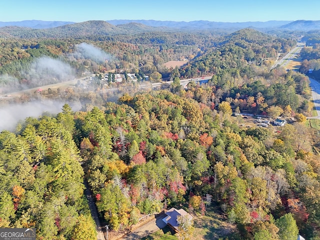 bird's eye view with a mountain view