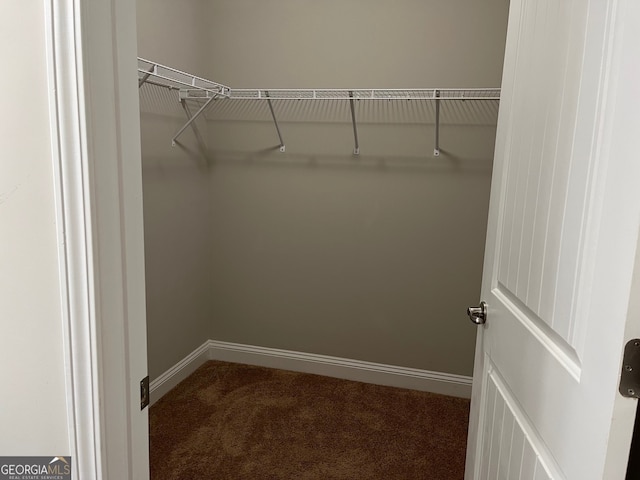 walk in closet featuring carpet