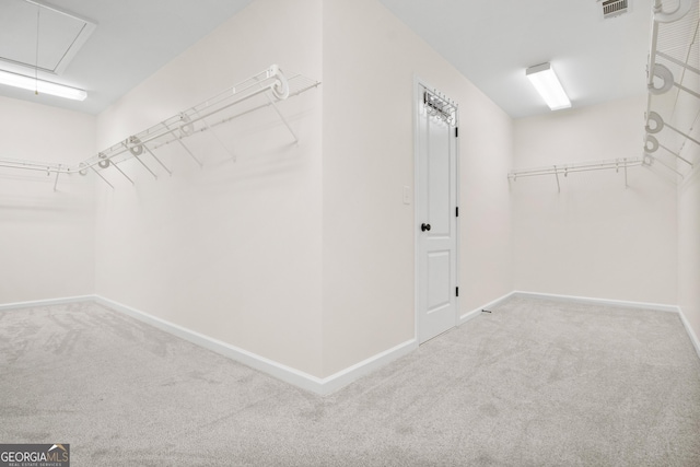 walk in closet featuring carpet flooring