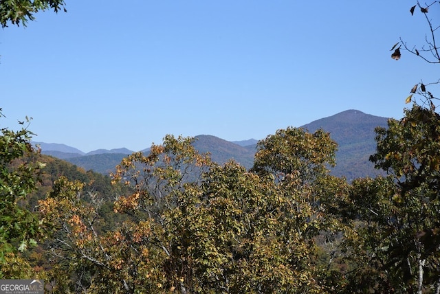 view of mountain feature