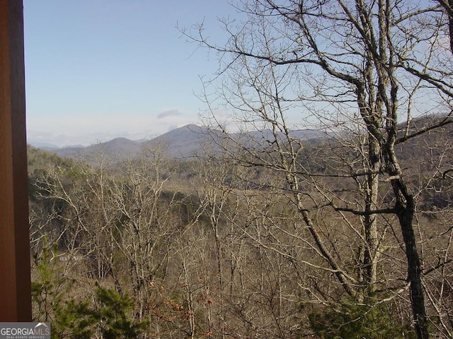 view of mountain feature