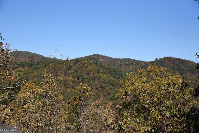 view of mountain feature