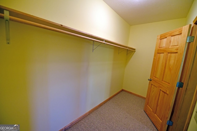 walk in closet featuring carpet floors