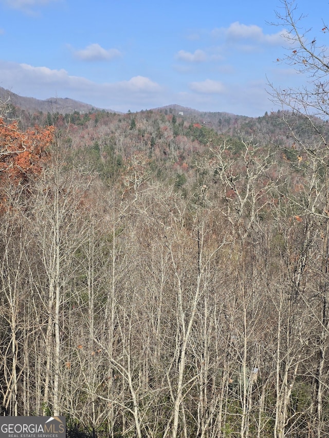 property view of mountains