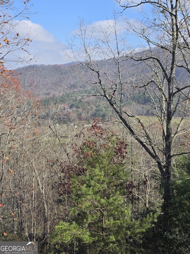 view of mountain feature