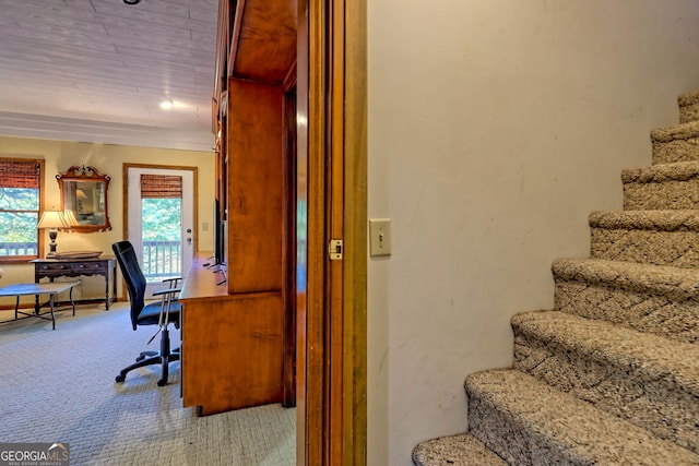 842 Saddleback Cir Unit 36, Sky Valley, GA 30537 - stairway featuring carpet floors