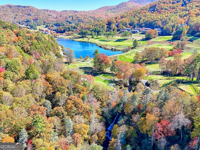842 Saddleback Cir Unit 36, Sky Valley, GA 30537 - aerial overview of property's location with a water and mountain view, a forest, and a local golf course