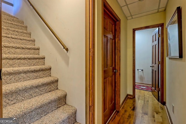 stairway featuring hardwood / wood-style floors and a paneled ceiling