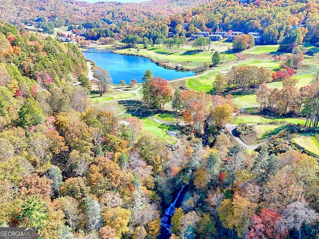 842 Saddleback Cir Unit 36, Sky Valley, GA 30537 - aerial view of property's location with a water and mountain view, a golf course, and a heavily wooded area